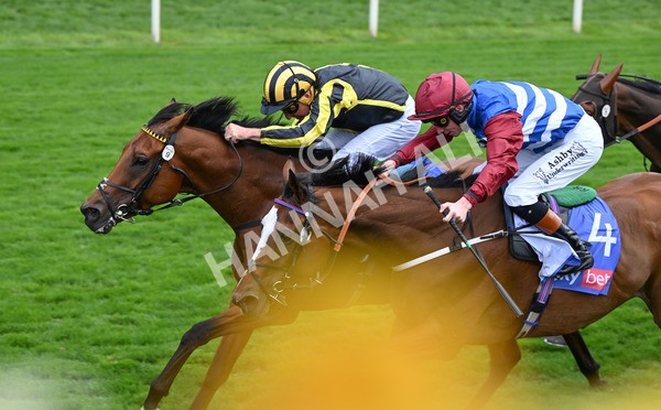 220825-019 Asgards Captain - Race 1 1.50pm Sky Bet Handicap