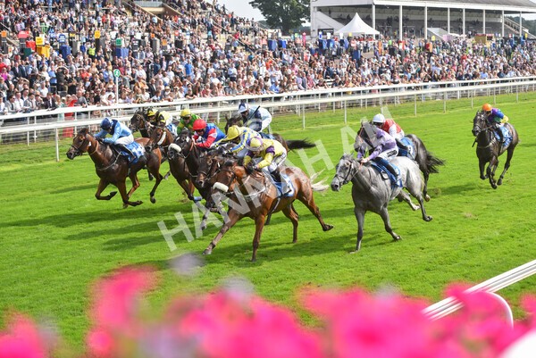 yr05092021r2-30 - Race 2 2.40pm John and Judith Marshall Memorial Stakes