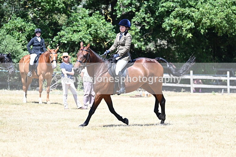WJ7_3125 - Class 7 Riding Club Show Horse