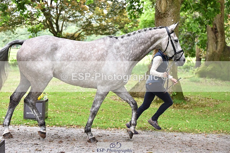 240522-170526-01379 - 238-SILVER_BULLET-Izzy_Taylor