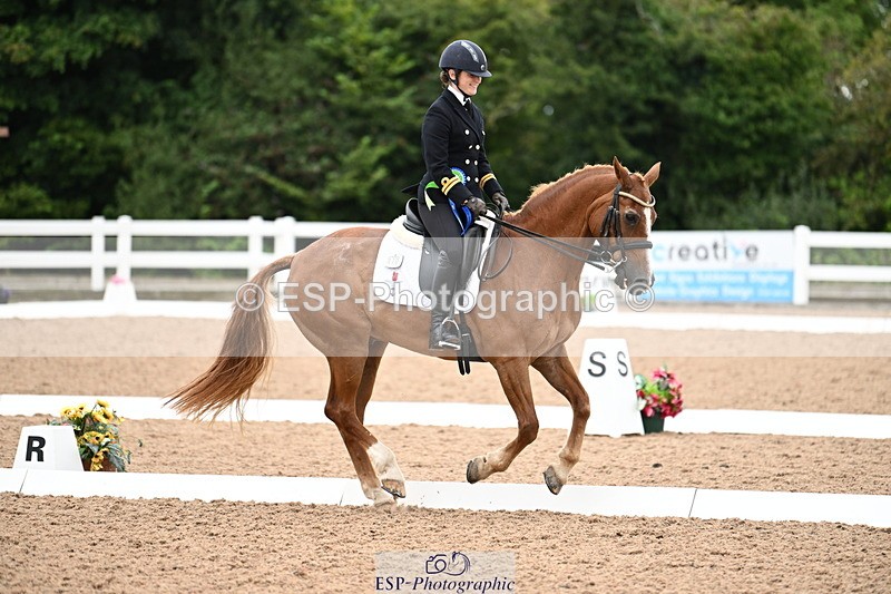 240815A-153936-02412 - Cls 3-P PSG Bronze