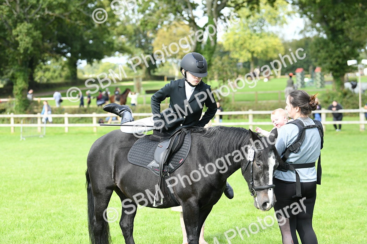 SBM_46835 - S12 - Family Horse & Pony