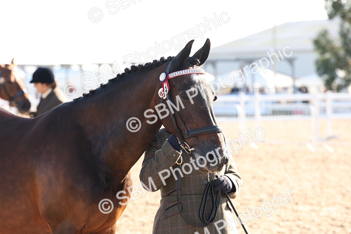 SBM_10793 - Class 201 - Best Turned Out - IH