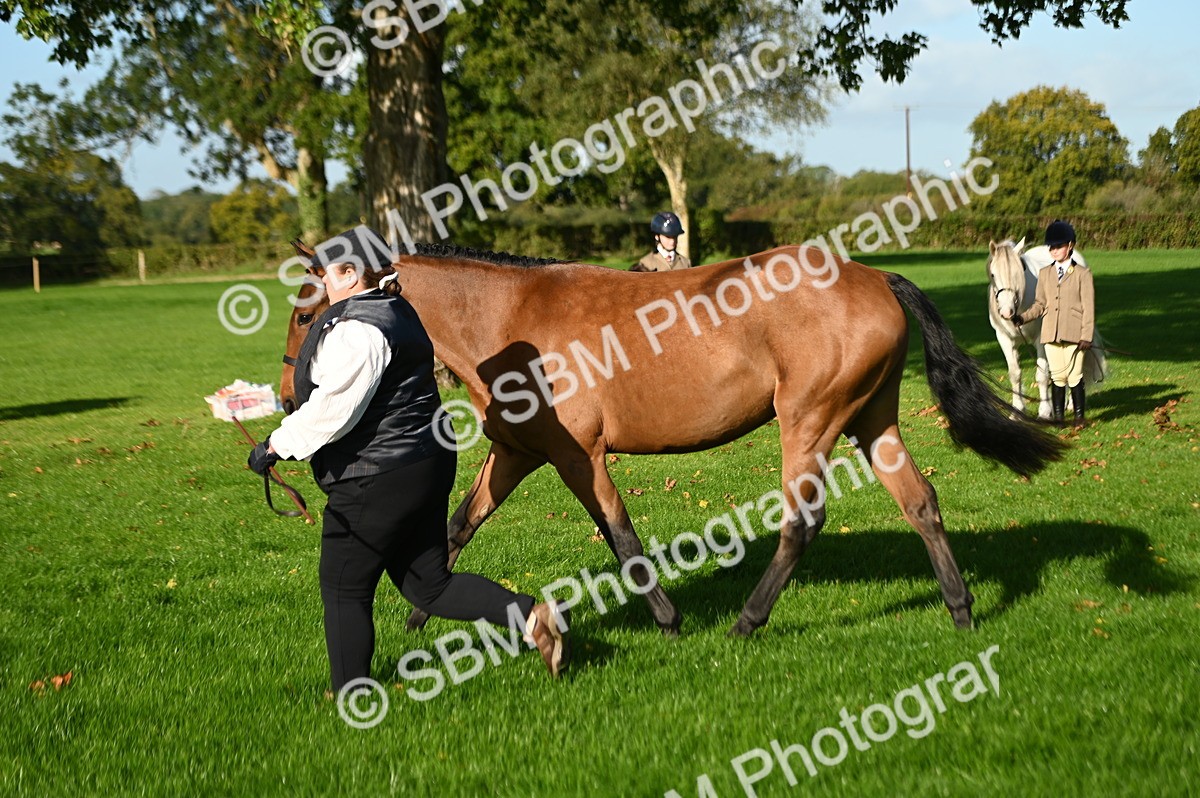 SBM_14787 - S1 - TSR in Hand Horse & Pony Showing