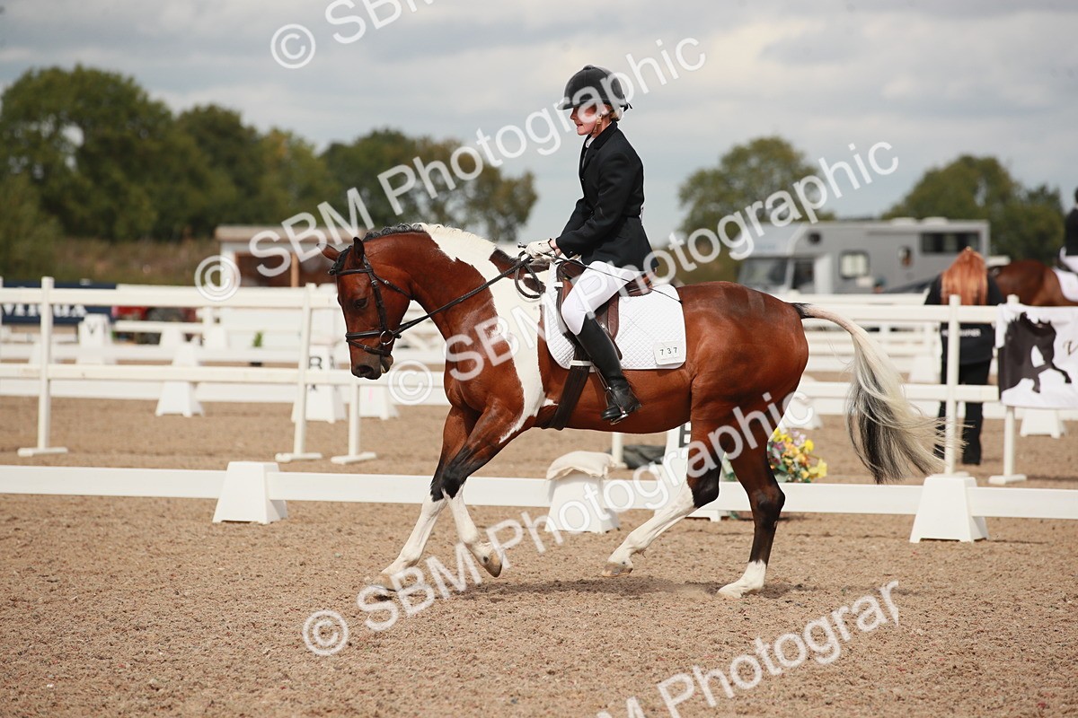 SBM_05933 - Class 32 - Novice 1