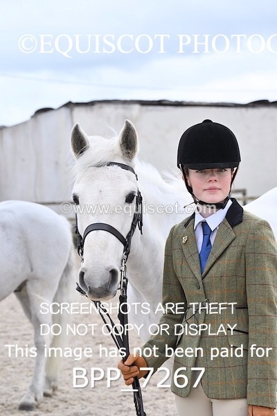 BPP_7267 - RING 1  (RIDDEN HORSES / IN HAND / VETERAN ETC)