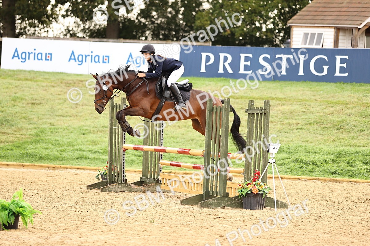 SBM_58363 - J41 - Grand Tour Horse & Pony 95cm