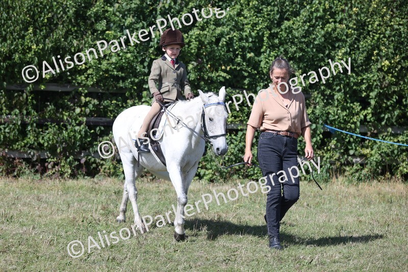 20250831-3141 - Class 24 - Absolute Beginners Pony