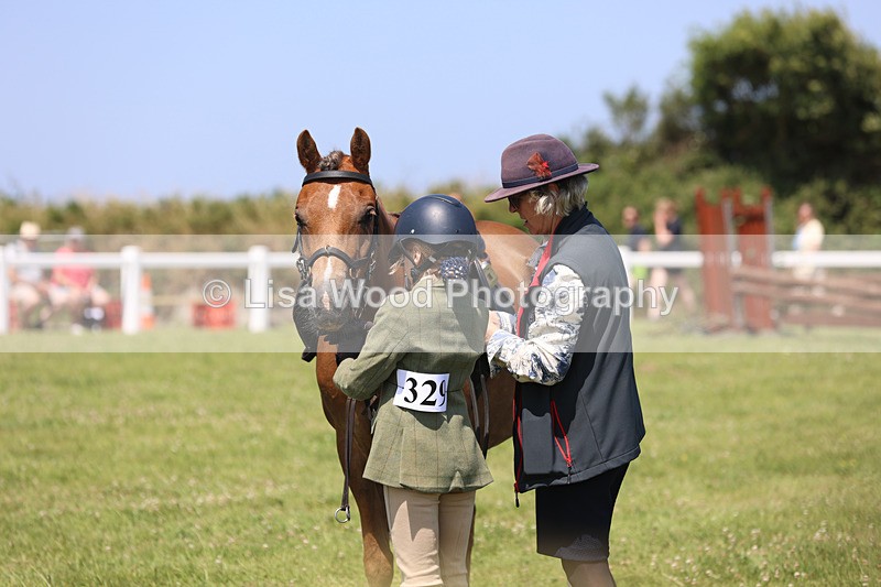 JPP_2785 - Class 21: Working Hunter 60cm