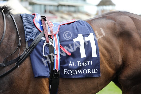 yr13052021r4-3 - Race 4 3.10pm Al Basti Equiworld Dubai Dante Stakes