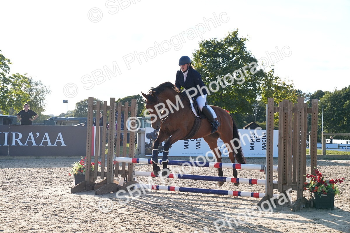 SBM_29895 - J44 - Super Speedy Scurry Open - 70cm