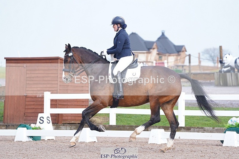 250215-144804-04358 - 194-Fay.Lai-Greenlanes.Lullaby