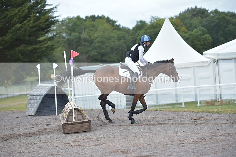 NGP_2917 - XC Time 11:37 to 11:57