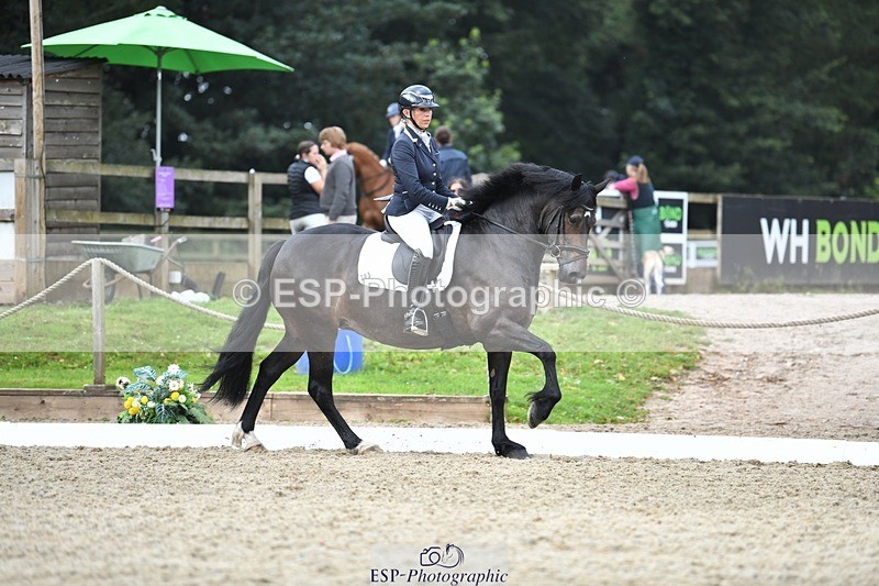 230812-105452-03497 - Cls 6 Novice Silver 10.30 to 11.55 break