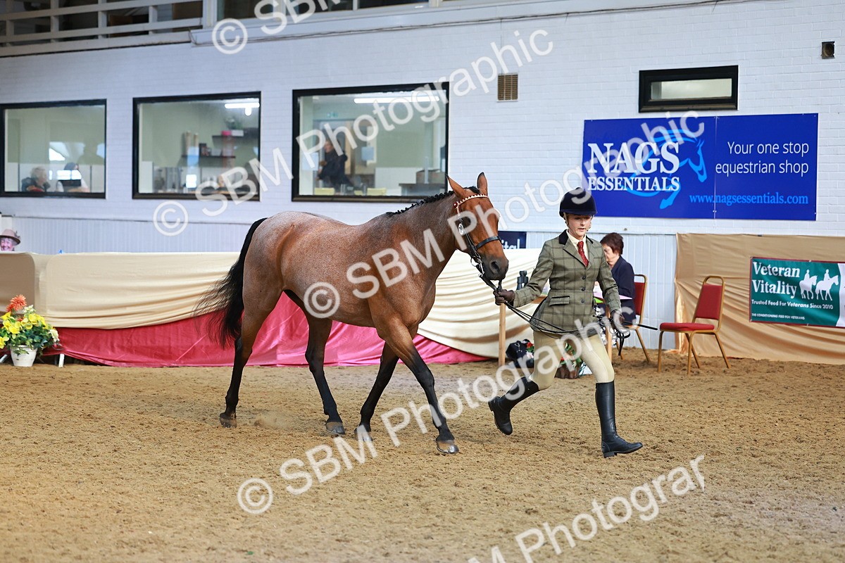 SBM_09552 - Class 102 - HOYS Veteran Qualifier - Ridden Veteran