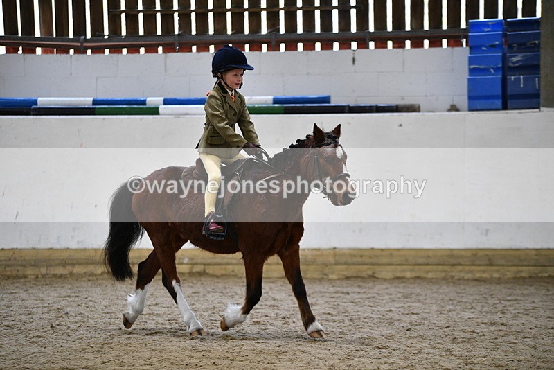 WJ5_6974 - Class 10 Childs Pony