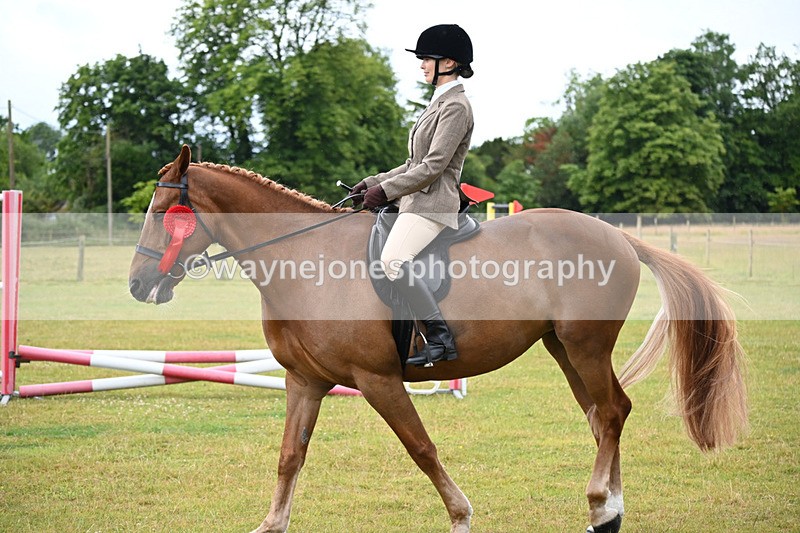 WJ6_8639 - Class 9 Tack & Turned out