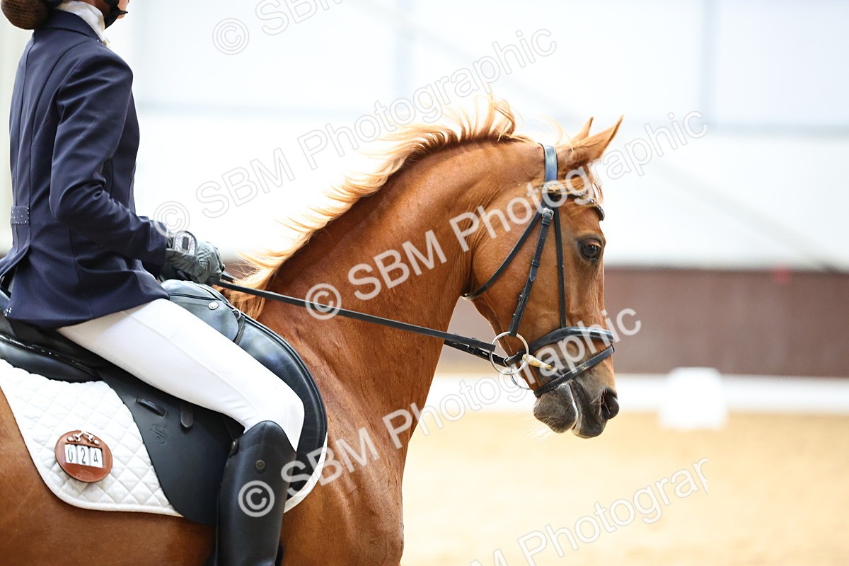 SBM_003997 - Novice 2