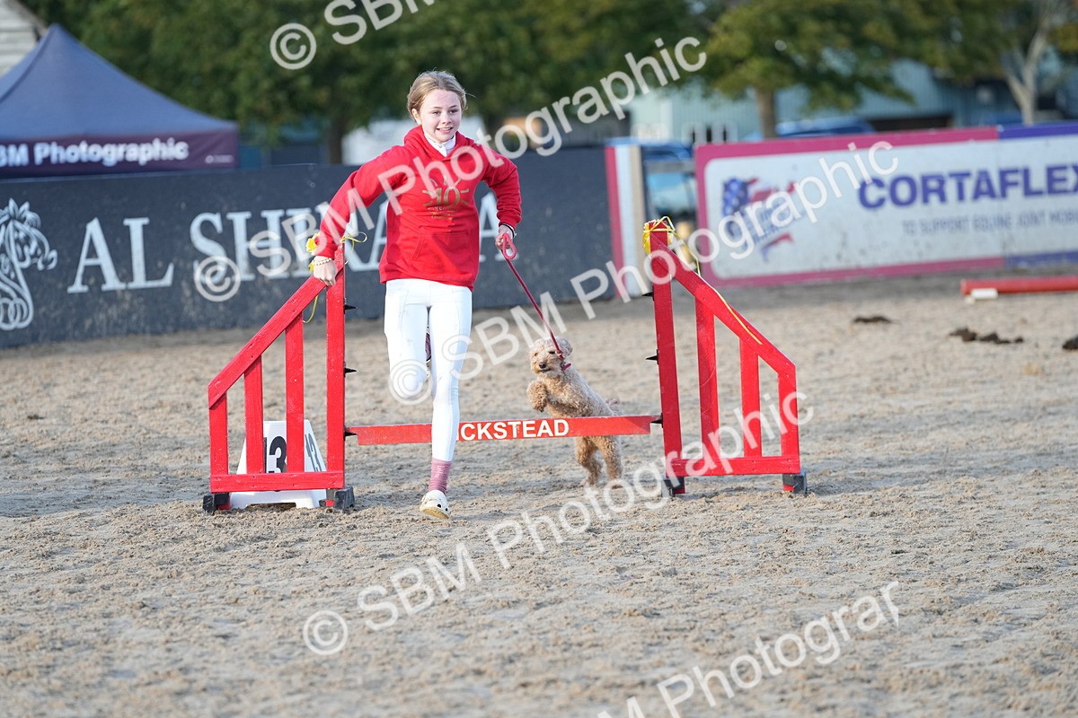 SBM_29480 - J44 - Horse & Hound Open 70cm