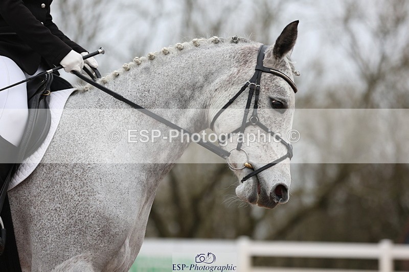 240121A-095225-00962 - Cls 4 Novice 23