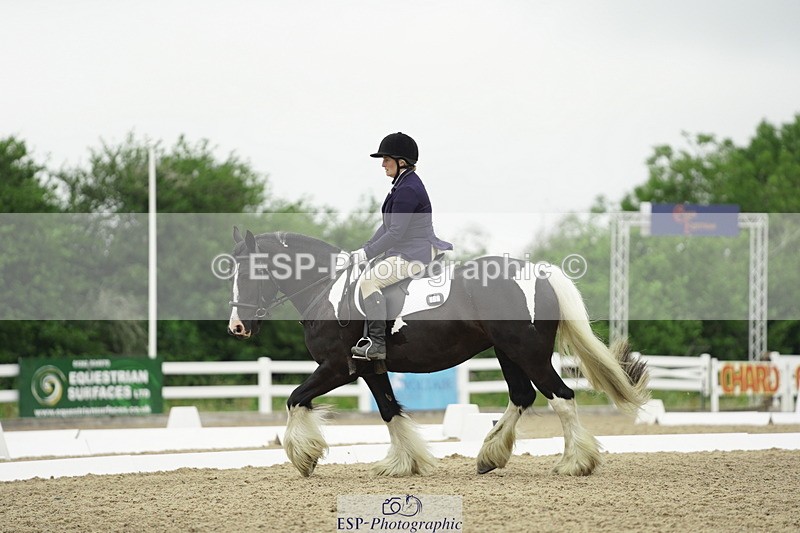 230708A-100300-00285 - Intro C