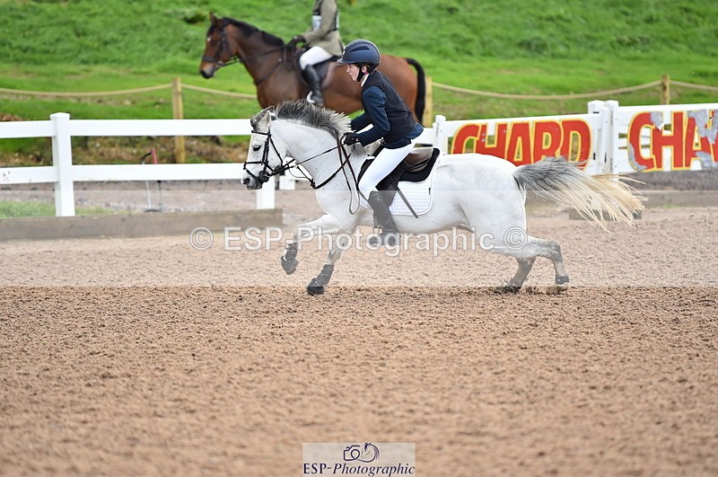 231029A-111626-02608 - Pony British Novice & 80cm Open