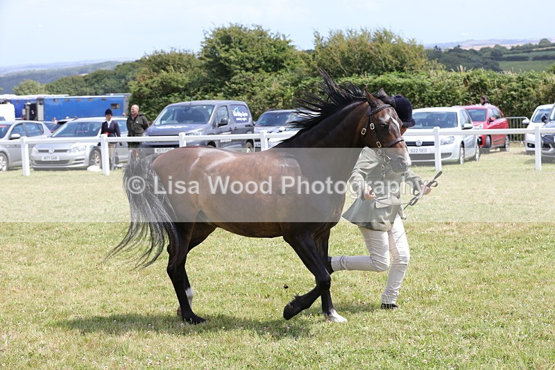 1X9A4799 - Class 35: Veteran In Hand