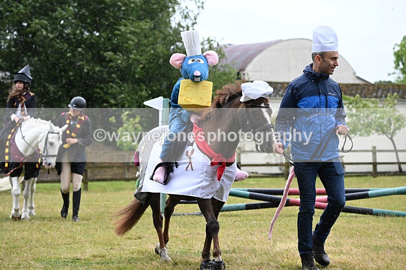 WJ6_9079 - Class 11 Fancy Dress