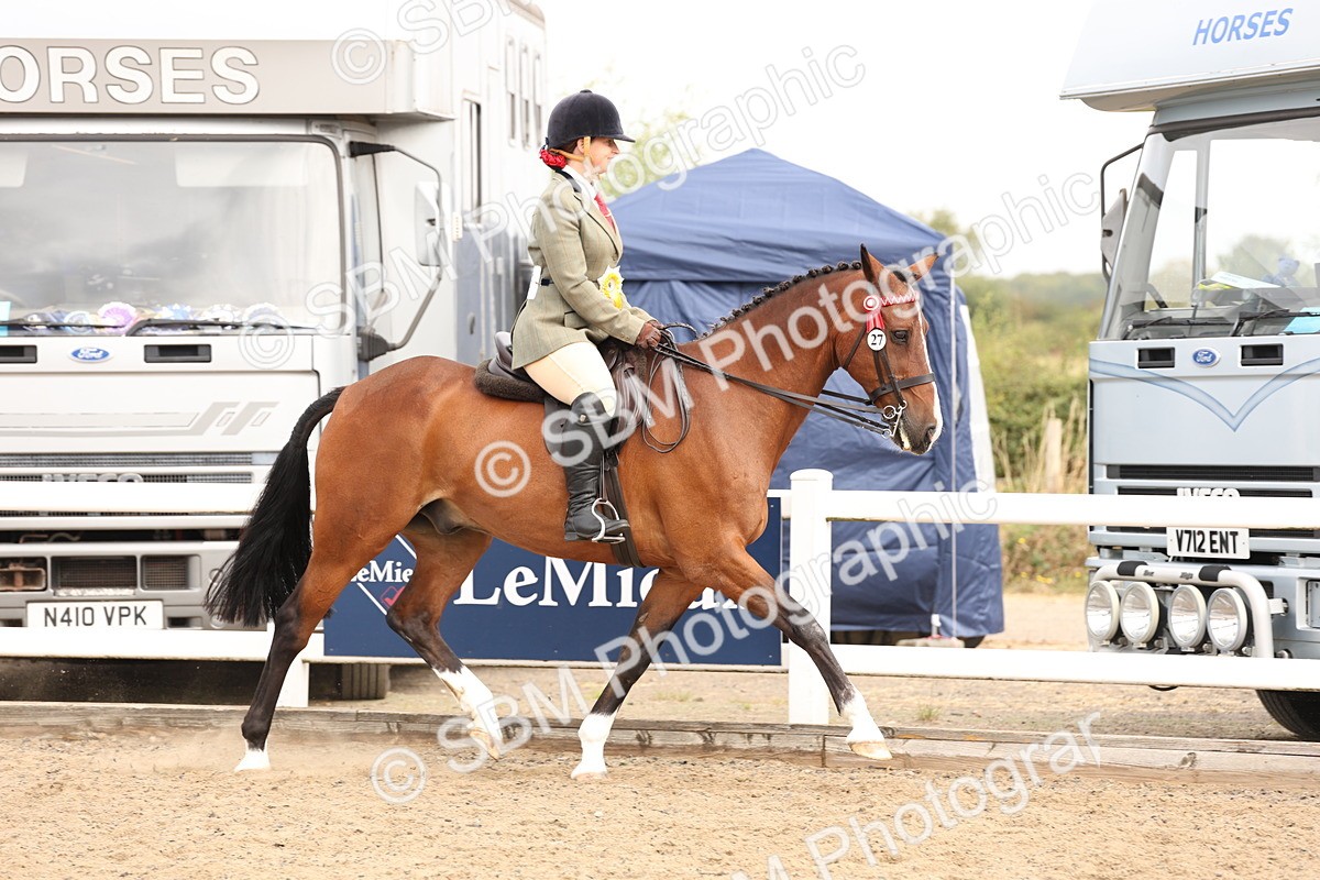 SBM_01658 - Class 52 - Ridden Veteran