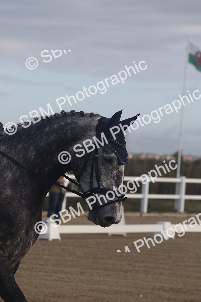 SBM_000001 - Class 1 - Intro 2 Warm Up