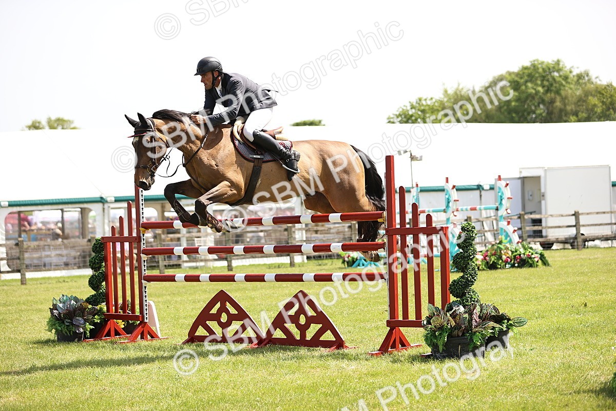 SBM_04051 - Class 201 - British Horse Feedds Speedi Beet HOYS Grade C