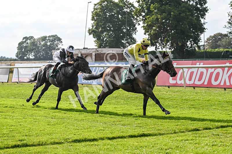 150825-Race 1-Alaminos-2382 - Race 1