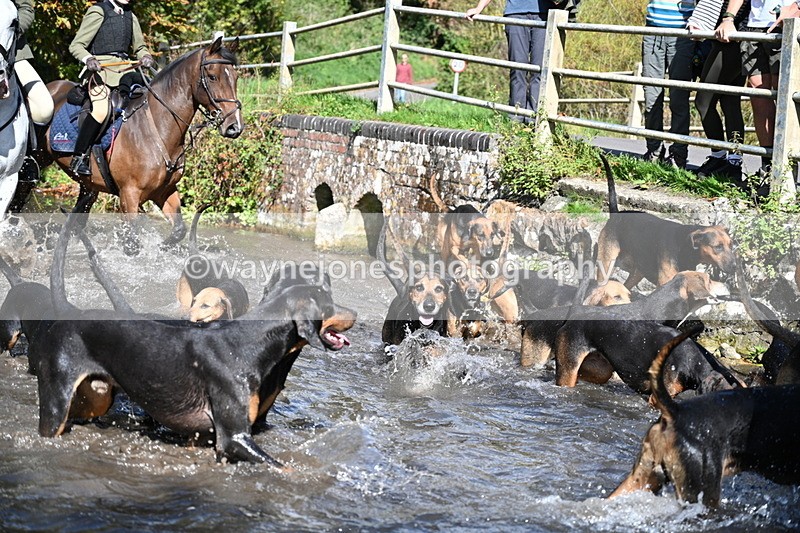WJ7_5989 - Hounds Water Crossing