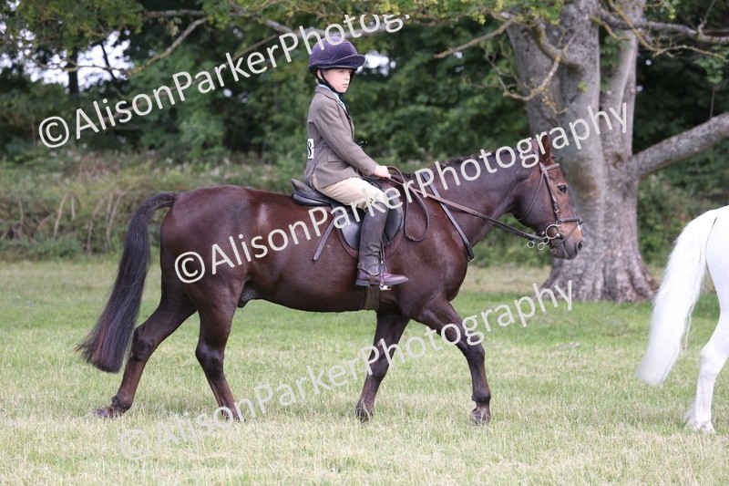 20260614-0800 - Class 20 - Beginners Working Hunter Pony