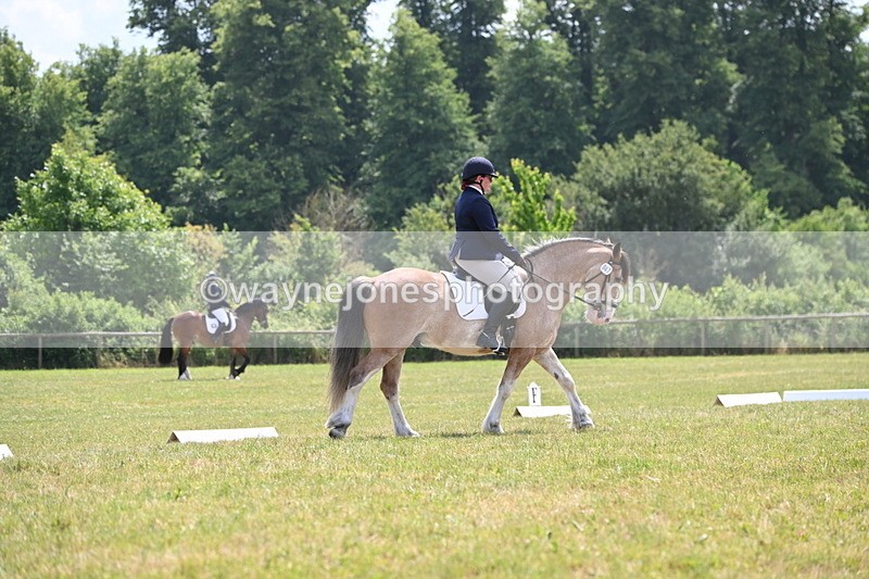 WJ6_7397 - Time 12:25 to 12:56