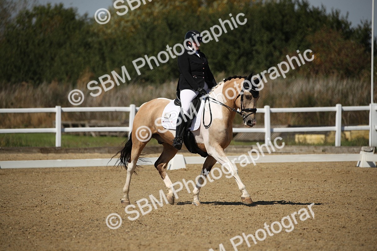 SBM_005078 - Class 11 - Novice 5 - 11.41-12.58