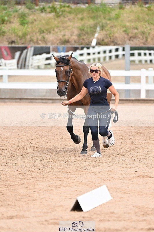 250716-142038-01023 - Trot Up 1.30 to 2.30