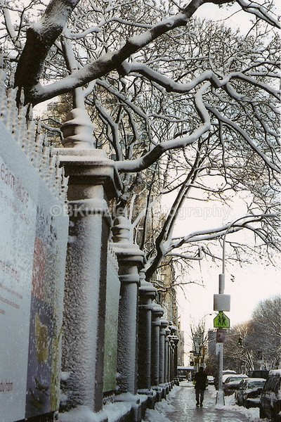  - Central Park