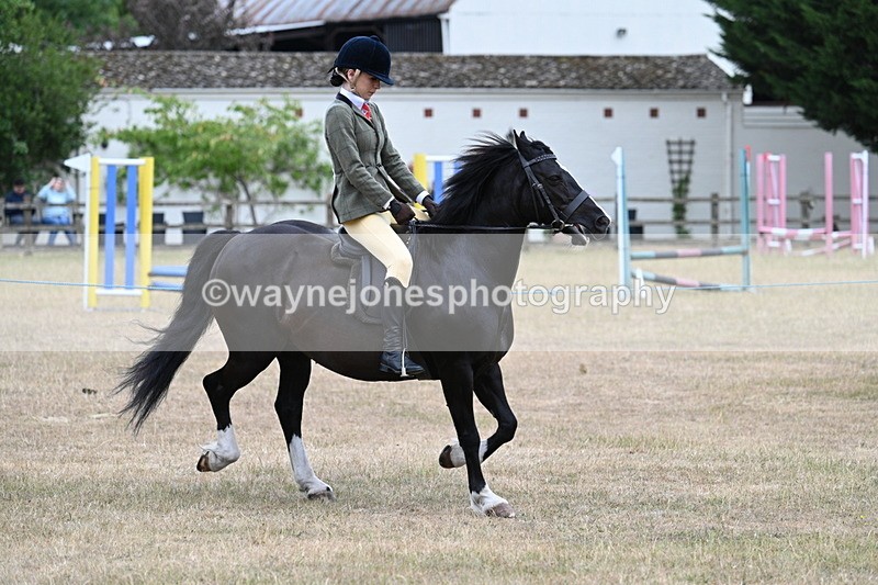 WJ7_0489 - Class 6 Ridden Mountain and Moorland