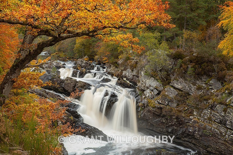 Rogie Falls - Latest work