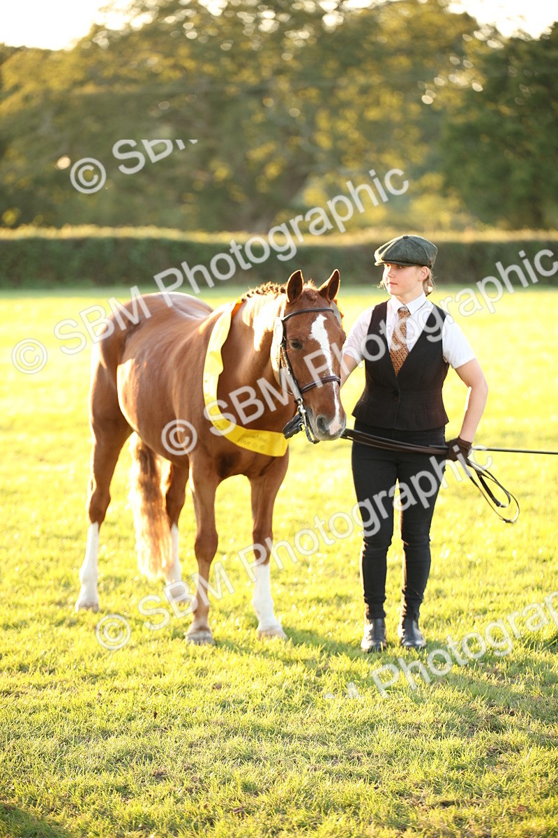 SBM_57067 - Veteran Supreme Championship