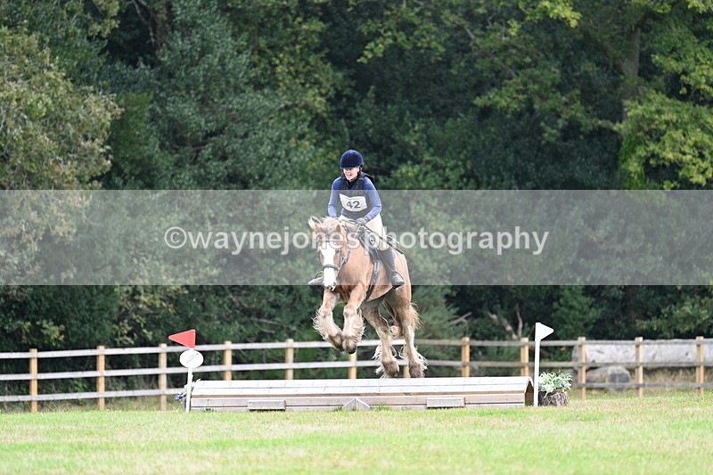 WJ7_7724 - 40cm Time 10:49 to 11:18