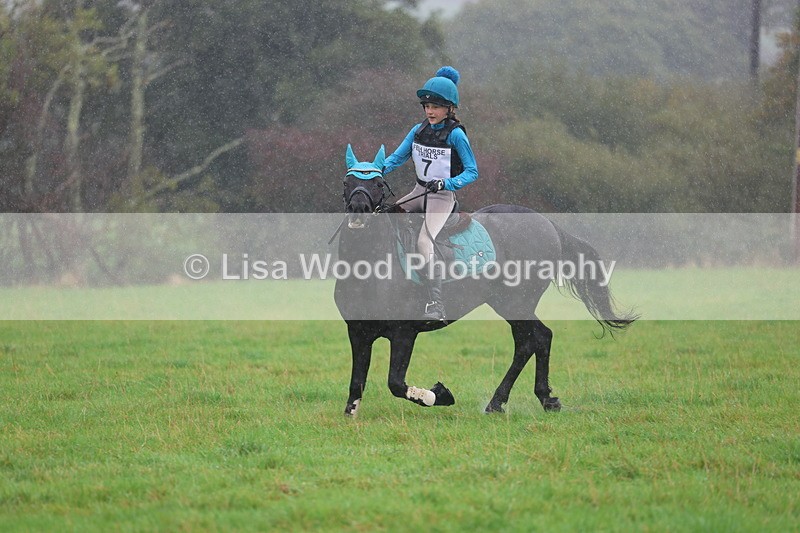 3E7A0838 - Class 1: 65cm: Rails