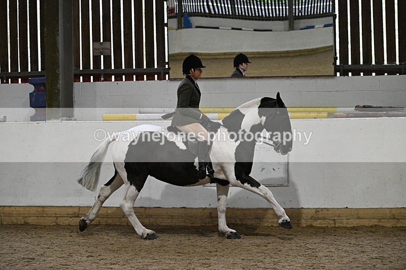 WJ7_3880 - Class 17 Ridden Cob