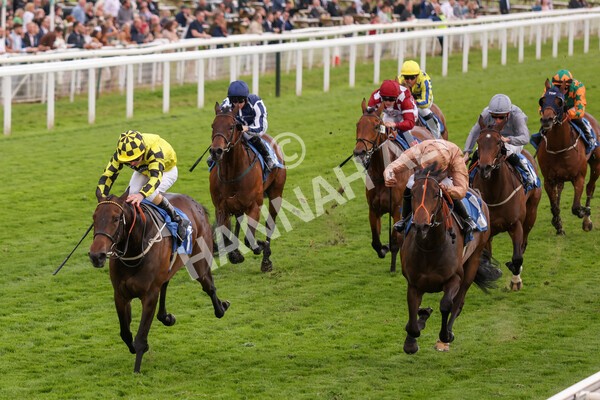 yr22052022r7-23 - Race 7: 6:40pm Sky Bet Sunday Series Fillies' and Mares Stakes