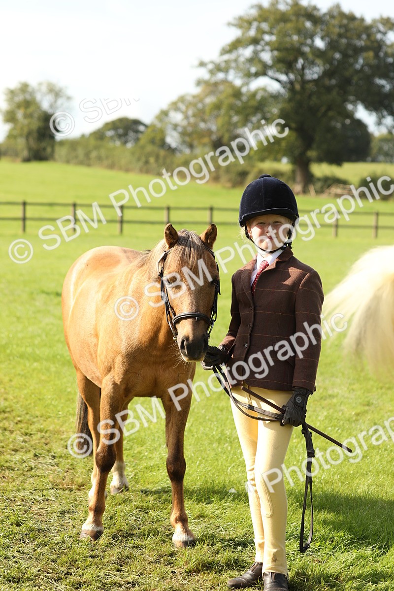 SBM_61017 - S43 - Coloured Pony In Hand