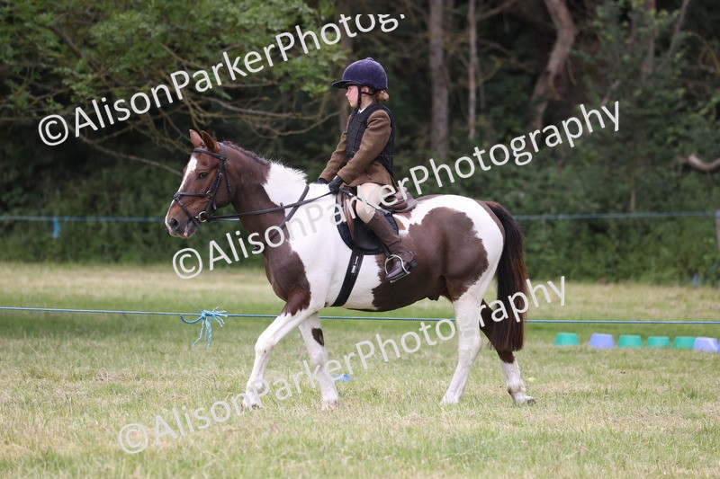 20260614-3158 - Class 22 - Open Working Hunter