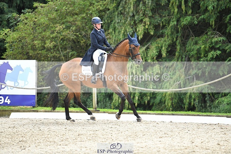 230812-135440-04545 - Cls 7 FEI PSG Bronze