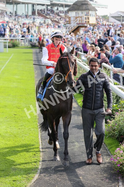 yr05092021r2-7 - Race 2 2.40pm John and Judith Marshall Memorial Stakes