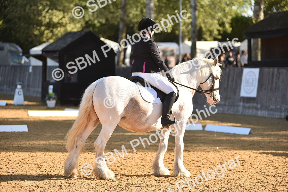 SBM_15738 - D4 - Small Tour Championship Intro 4